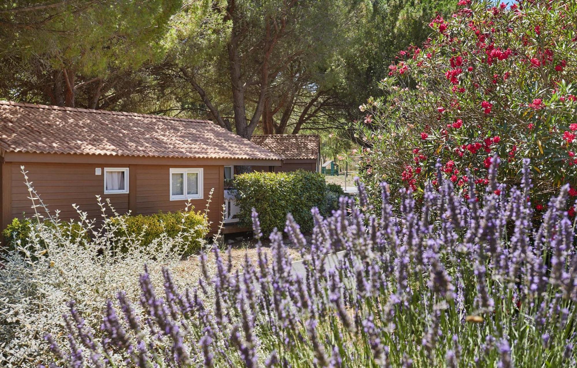 Résidence Odalys Shangri-la Carnoux-en-Provence Esterno foto